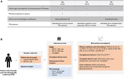 C1q and HBHA-specific IL-13 levels as surrogate plasma biomarkers for monitoring tuberculosis treatment efficacy: a cross-sectional cohort study in Paraguay